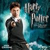 Harry Potter and the Half-Blood Prince: 2009 Mini Wall Calendar