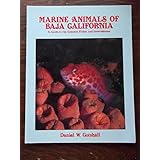 marine animals of baja california a guide to the common fishes and invertebrates
