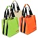 Pb Travel Nylon Tote Bag