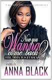 Now You Wanna Come Back 2: Still Tryin 2 Get Back