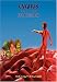 One Night in Chicago [DVD] 