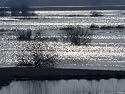Sunlight on Flooded Wetlands in Spring, Biebrzanski National Park, Poland Art Photographic Poster Print by Artur Tabor, 16x12