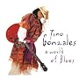 A World Of Blues ~ Tino Gonzales