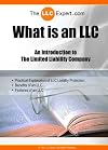 What is an LLC - An Introduction to the Limited Liability Company