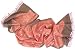 Silk Shawl Milagritos in Coral with Beads