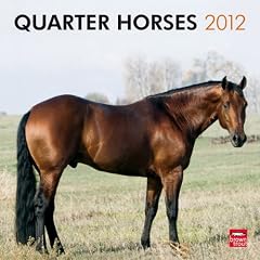 Quarter Horses 2012