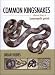 Common Kingsnakes, A Natural History of 'Lampropeltis getula'