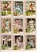 Chicago White Sox 1984 Topps Baseball Team Set with/Traded Cards (Tony LaRussa) (Tom Paciorek) (Richard Dotson) (Carlton Fisk) (Greg Walker) (Ron Kittle) (Harold Baines) (LaMarr Hoyt) (Floyd Bannister) (Jerry Hariston) (Mike Squires) (Tom Seaver)