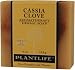 Cassia Clove 100% Pure & Natural Aromatherapy Herbal Soap- 4 oz (113g)
