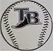 036 Tampa Bay Devil Rays Circular Sign - CS60051