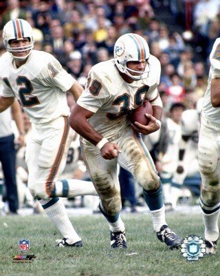 Larry Csonka Miami Dolphins 8x1- Photo (Rushing With Ball)