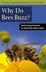 Why Do Bees Buzz?: Fascinating Answers to Questions about Bees (Animal Q&a Series)