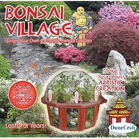 Bonsai Village - Grow Your Own Authentic Bonsai Garden! by Windowbox