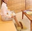 �O���[���E�b�h&nbsp;�~�j�p�l��2WAY�q�[�^�[&nbsp;GMP-151