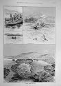 1891 Salmon Fly-Fishing Sligo Ireland Springers Print