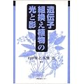 遺伝子組換え植物の光と影