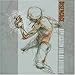 Disengage, Application for an Afterlife by Disengage &#x3010;&#x4E26;&#x884C;&#x8F38;&#x5165;&#x54C1;&#x3011;, 発売中