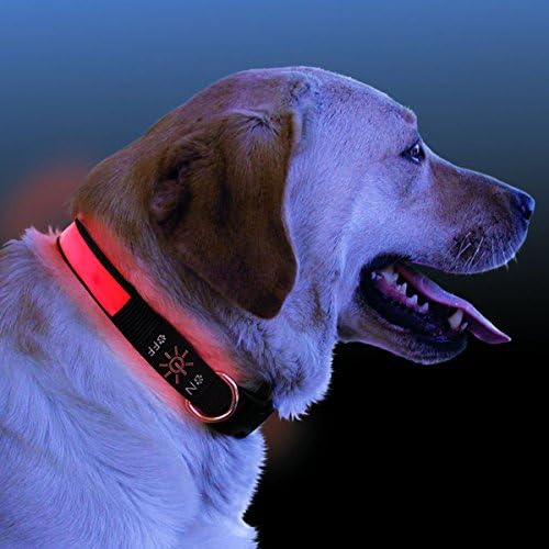 GoCooper Flashing Dog Collar USB Rechargeable LED Safety Reflective Collar- Improved Dog Visibility &amp; Safety - Your Dog will be more Visible &amp; Safe Pink