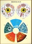 Iridology