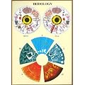 Iridology