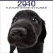 Flat-Coated Retriever 2010 Wall Calendar