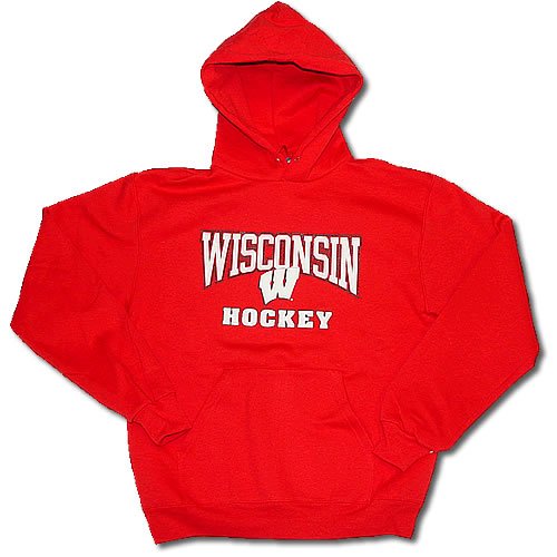 Buy Wisconsin Badgers Hockey Champion Team Color Hoody
