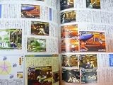 The King of Fighters '99 Perfect Manual (Japanese Import)