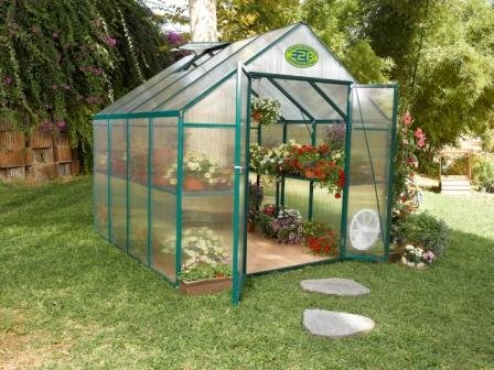 Systems Trading EG45808 Backyard Hobby Greenhouse, Green, 8 By 8 Feet