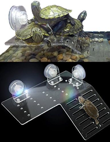 SPJ: Turtle Reptiles Amphibians Aquarium Pier Sunbathing Platform Slope