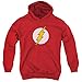 DC Comics Flash Logo Big Boys Youth Pull-Over Hoodie