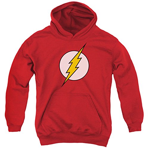 DC Comics Flash Logo Big Boys Youth Pull-Over Hoodie