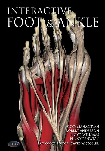Interactiver Foot & Ankle