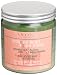 L'Occitane Masque Rèparateur (Repairing Shine Mask for Dry & Damaged Hair), 8.8-Ounce Jar