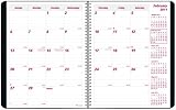 Brownline 2010-2011 Monthly Planner, Academic 16 Months (Sept-Dec), Twin-Wire, Black, 11 x 8.5  Inches (CB1260.BLK)