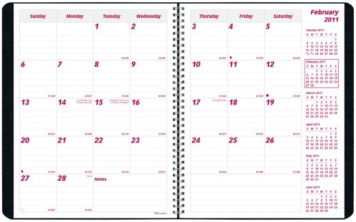 Brownline 2010-2011 Monthly Planner, Academic 16 Months (Sept-Dec), Twin-Wire, Black, 11 x 8.5  Inches (CB1260.BLK)