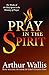 Pray in the Spirit