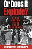 Or Does It Explode?: Black Harlem in the Great Depression
