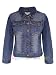 Ladies Denim Jackets 51taR%2Bxh5%2BL. SL75 Ladies Denim Jackets