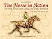 The Horse in Action: The Walk, Trot, Canter, Gallop and Jump