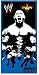 Official WWE Smackdown 'Batista' Bath / Beach Towel