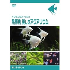 �M�ы� �������A�N�A���E�� �������E��ĕ� [DVD]