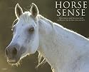 Horse Sense 2009 Calendar