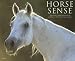 Horse Sense 2009 Calendar