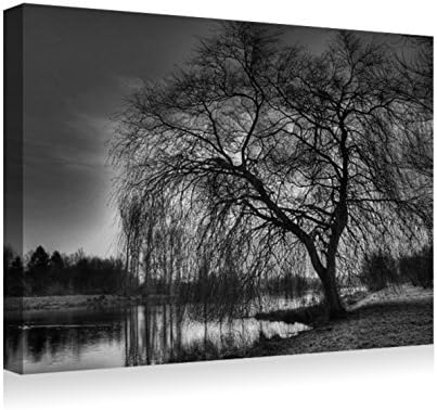 Kenyan eve (2)- Canvas Prints Wall Art - Wood Board Background Stretched Canvas Wrap Ready to Hang for Home and Office Decoration - 16" x 12" Black White