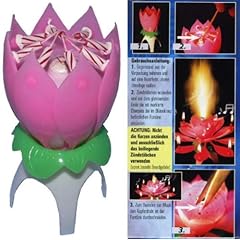 Geburtstags Font�ne Torten Geburtstag HAPPY BIRTHDAY Musik �berraschung Geschenk