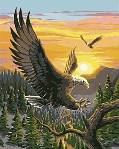 Frameless picture DIY digital oil painting colored drawing 40 50 flying eagle paint by number kits unique gift home decor