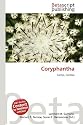 Coryphantha