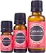 Geranium (Bourbon) 100% Pure Therapeutic Grade Essential Oil- 10 ml
