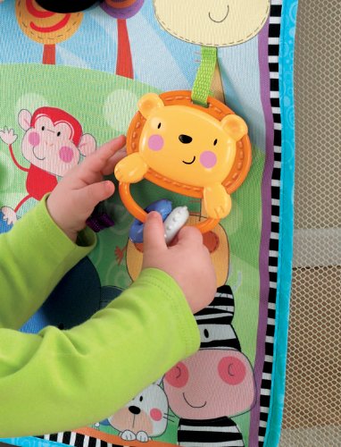 Imagen 5 de Fisher Price - Fisher Price - Panel Activity De Cuna (de 0 a 12 meses) (Mattel)