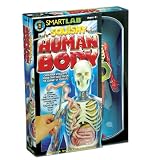 Smart Lab  Squishy You Explore It Human Body ~ Smart Lab